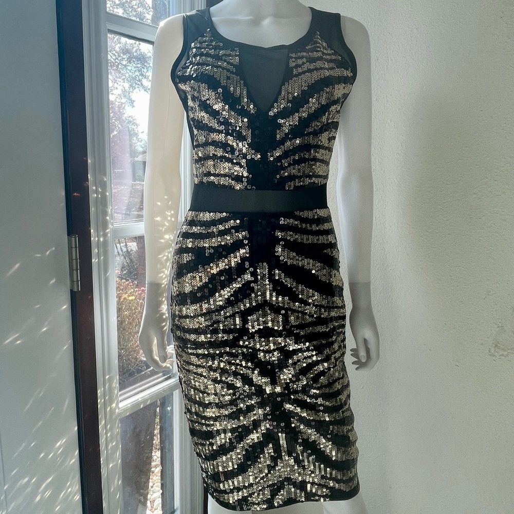 Bebe sequin mesh inserts dress